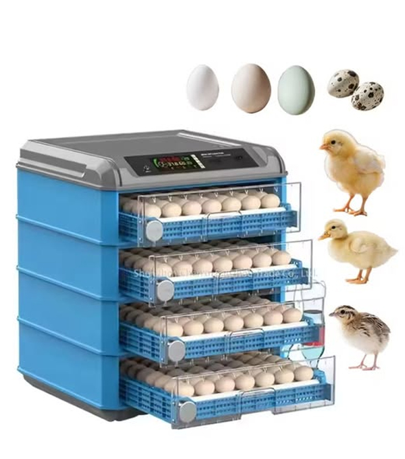 Egg-Incubator 